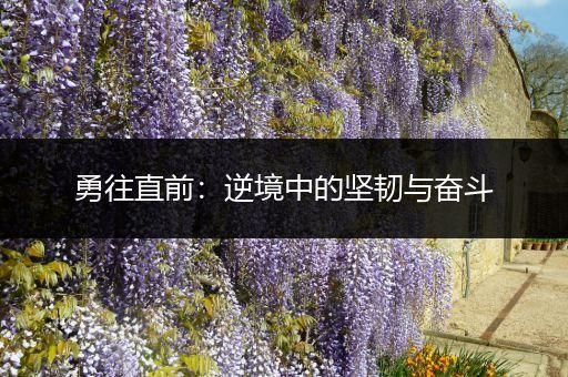勇往直前：逆境中的坚韧与奋斗