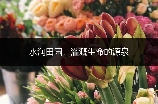 水润田园，灌溉生命的源泉