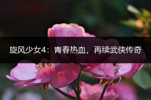旋风少女4：青春热血，再续武侠传奇