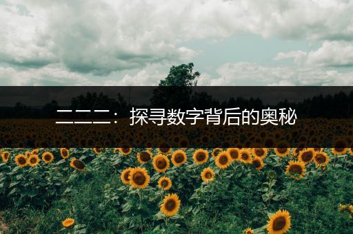 二二二：探寻数字背后的奥秘