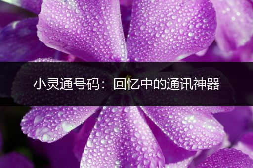 小灵通号码：回忆中的通讯神器