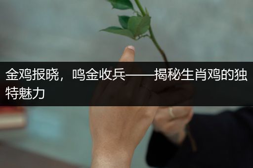 金鸡报晓，鸣金收兵——揭秘生肖鸡的独特魅力