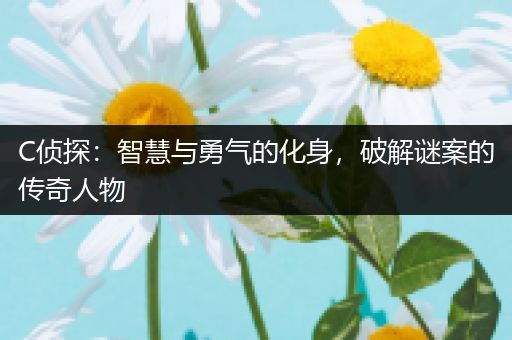 C侦探：智慧与勇气的化身，破解谜案的传奇人物