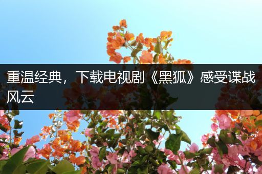 重温经典，下载电视剧《黑狐》感受谍战风云