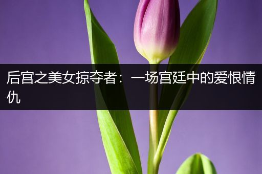 后宫之美女掠夺者:一场宫廷中的爱恨情仇
