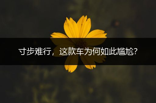 寸步难行，这款车为何如此尴尬？