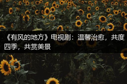 《有风的地方》电视剧：温馨治愈，共度四季，共赏美景