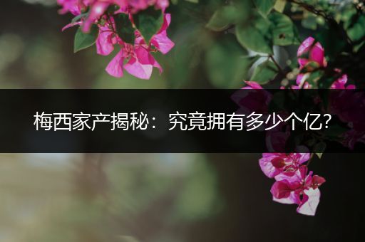梅西家产揭秘：究竟拥有多少个亿？