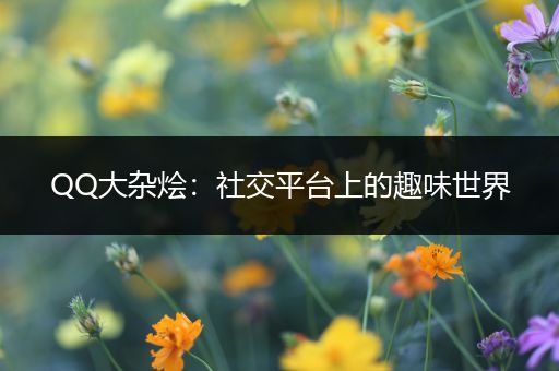 QQ大杂烩：社交平台上的趣味世界