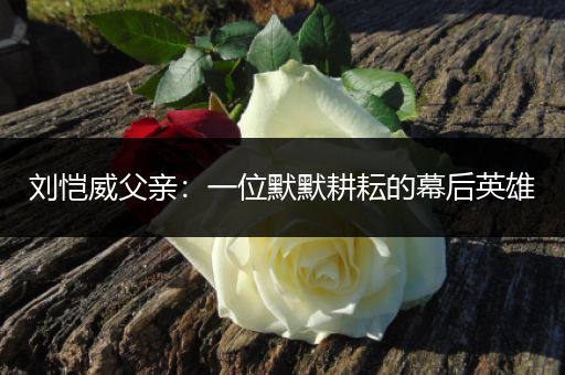 刘恺威父亲：一位默默耕耘的幕后英雄