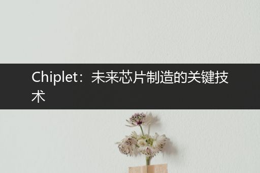 Chiplet:未来芯片制造的关键技术