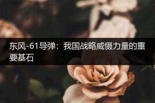 东风-61导弹：我国战略威慑力量的重要基石