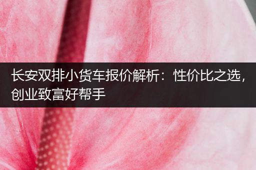 长安双排小货车报价解析：性价比之选，创业致富好帮手