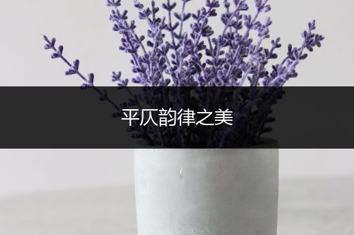 平仄韵律之美