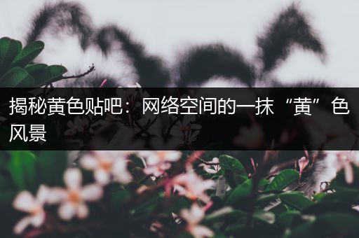揭秘黄色贴吧：网络空间的一抹“黄”色风景