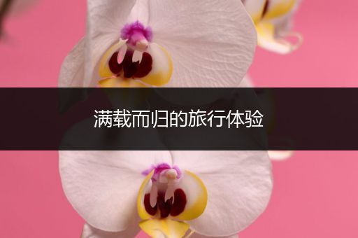 满载而归的旅行体验