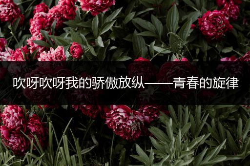 吹呀吹呀我的骄傲放纵——青春的旋律