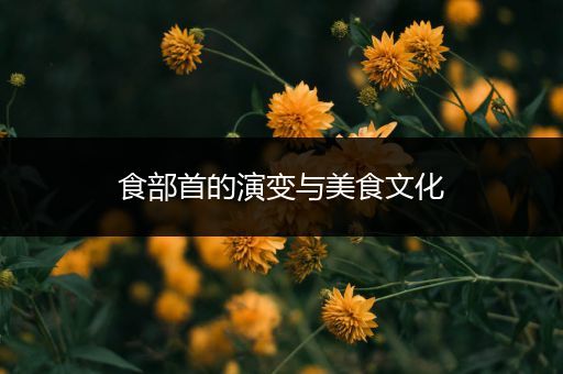 食部首的演变与美食文化