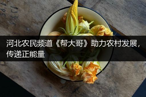 河北农民频道《帮大哥》助力农村发展，传递正能量