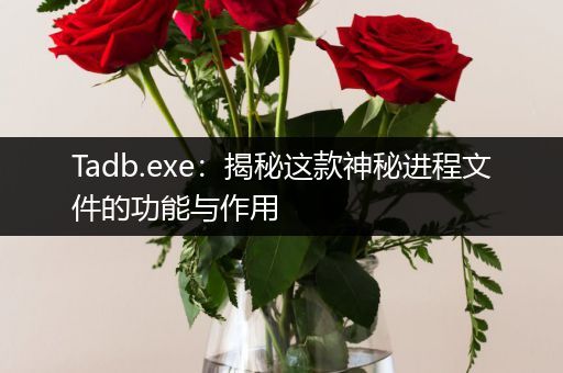 Tadb.exe：揭秘这款神秘进程文件的功能与作用