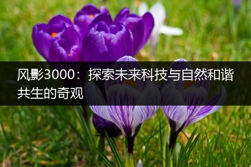 风影3000：探索未来科技与自然和谐共生的奇观