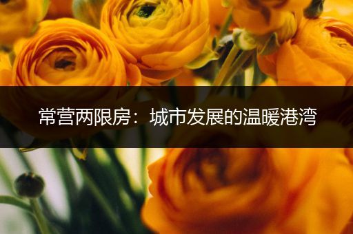 常营两限房：城市发展的温暖港湾