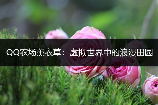 QQ农场薰衣草：虚拟世界中的浪漫田园