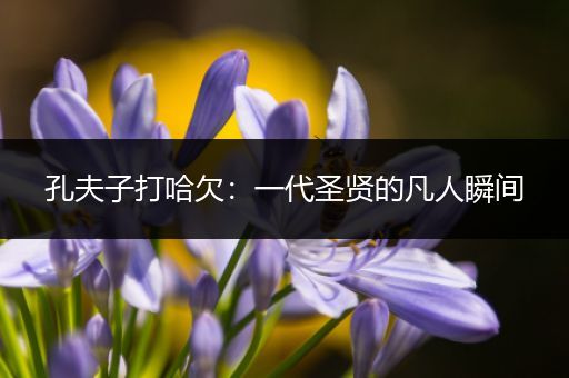 孔夫子打哈欠：一代圣贤的凡人瞬间