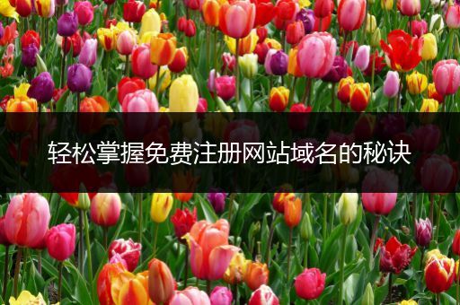 轻松掌握免费注册网站域名的秘诀
