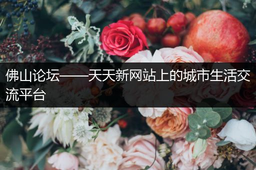 佛山论坛——天天新网站上的城市生活交流平台