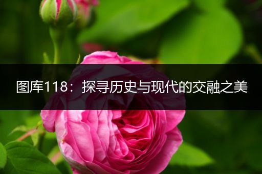 图库118：探寻历史与现代的交融之美