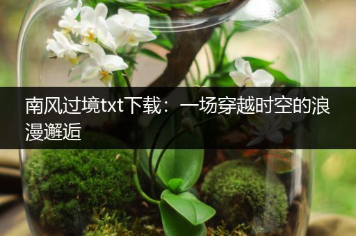 南风过境txt下载：一场穿越时空的浪漫邂逅
