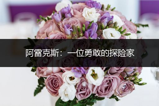 阿雷克斯：一位勇敢的探险家