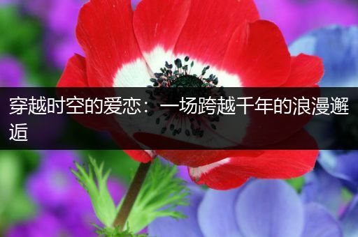 穿越时空的爱恋：一场跨越千年的浪漫邂逅