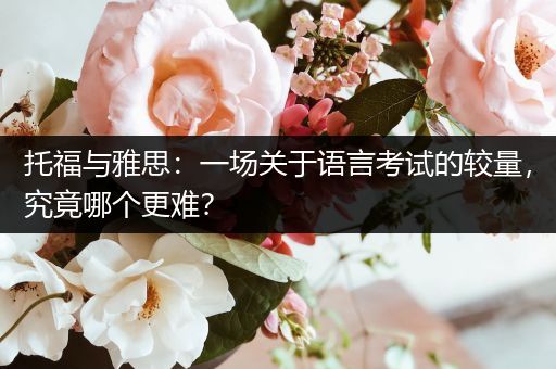 托福与雅思：一场关于语言考试的较量，究竟哪个更难？