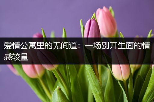 爱情公寓里的无间道：一场别开生面的情感较量