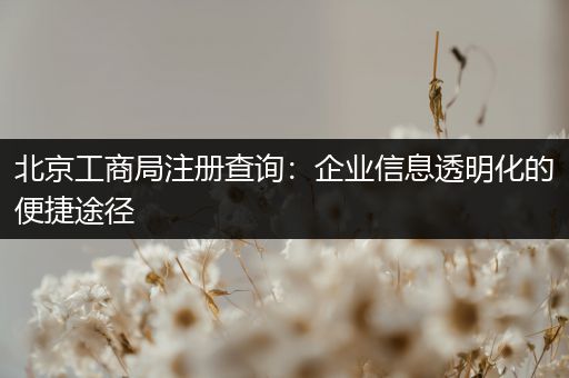 北京工商局注册查询：企业信息透明化的便捷途径