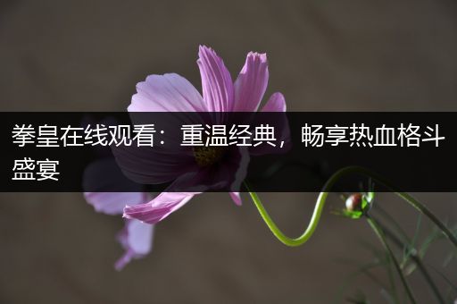 拳皇在线观看：重温经典，畅享热血格斗盛宴