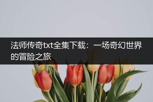 法师传奇txt全集下载：一场奇幻世界的冒险之旅
