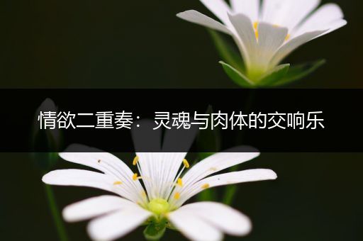 情欲二重奏：灵魂与肉体的交响乐