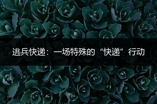 逃兵快递：一场特殊的“快递”行动