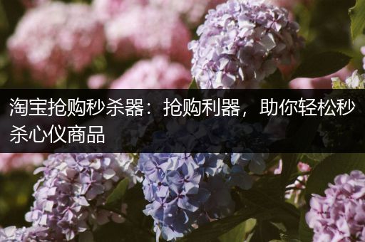 淘宝抢购秒杀器：抢购利器，助你轻松秒杀心仪商品