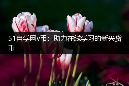 51自学网v币：助力在线学习的新兴货币