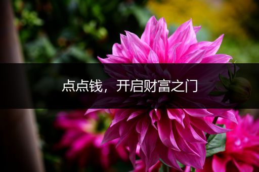 点点钱，开启财富之门