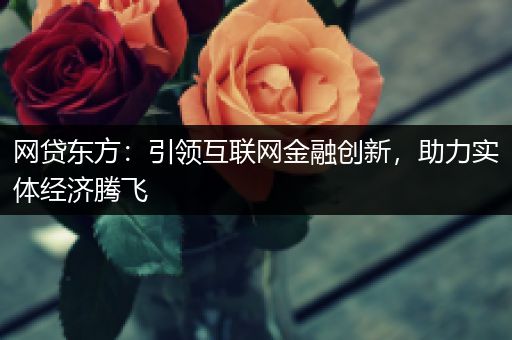 网贷东方：引领互联网金融创新，助力实体经济腾飞
