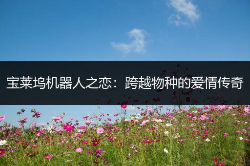 宝莱坞机器人之恋：跨越物种的爱情传奇