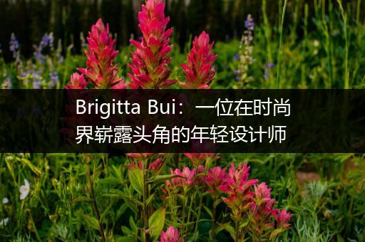 Brigitta Bui：一位在时尚界崭露头角的年轻设计师
