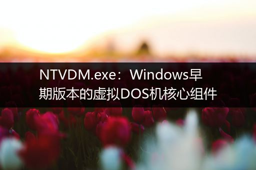 NTVDM.exe：Windows早期版本的虚拟DOS机核心组件