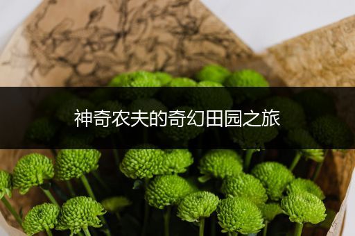 神奇农夫的奇幻田园之旅
