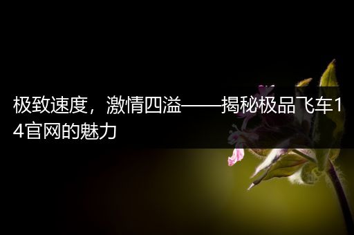 极致速度，激情四溢——揭秘极品飞车14官网的魅力